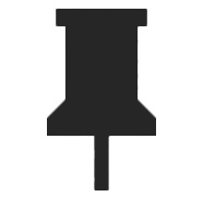 Pin Icon