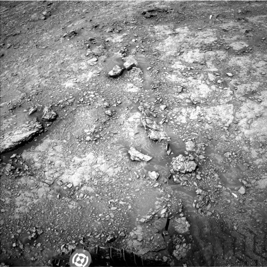 surface of mars