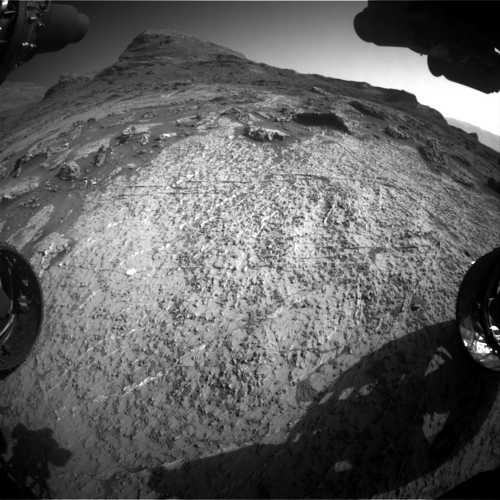 Mars rover on bedrock with lots of dark nodules.