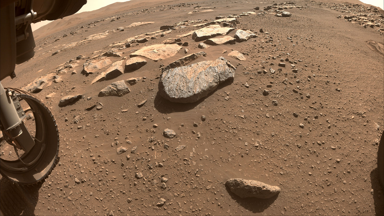 NASA’s Perseverance Mars rover will abrade the rock at the center of this image, allowing scientists and engineers to assess whether it would hold up to the rover’s more powerful sampling drill.
