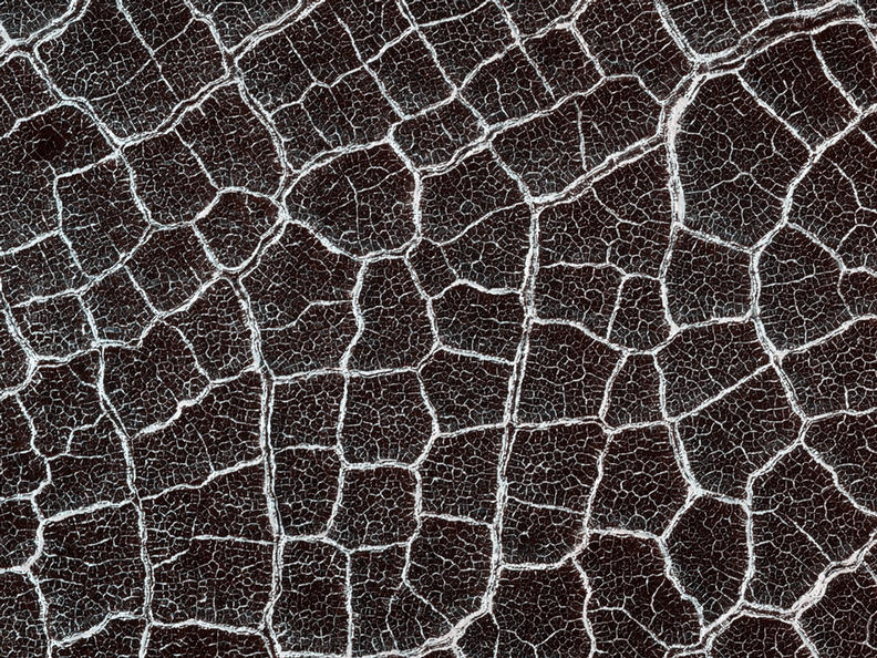 From a distance, the floor of this crater looks like a giant honeycomb or spider web. The intersecting shapes, or polygons, commonly occur in the northern lowlands of Mars.