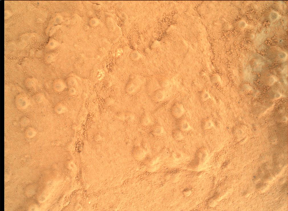 Concretions at 'Cumberland'