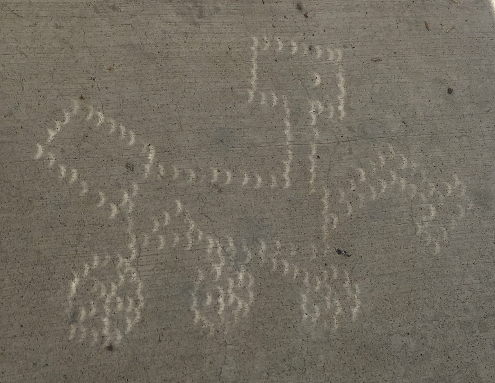 Pinhole Viewer of Curiosity